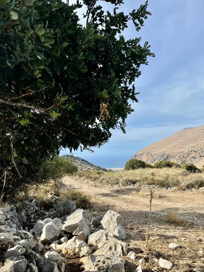 Conte125 Villa Cinisi Dış mekan fotoğraf